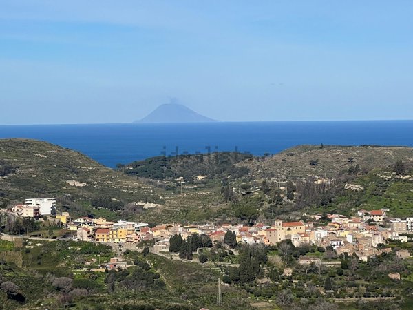 esavano in vendita a Messina