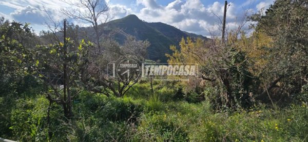 terreno agricolo in vendita a Messina in zona Rodia