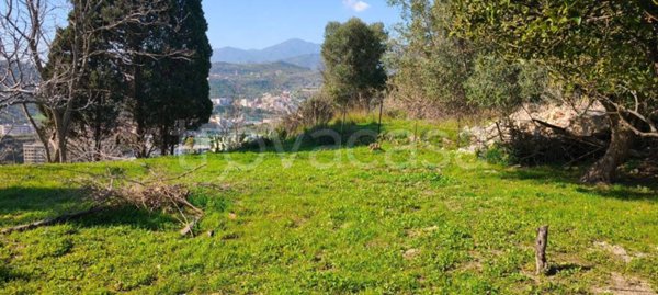 terreno agricolo in vendita a Messina in zona Centro Storico