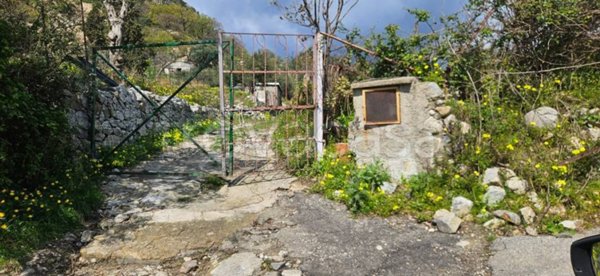 terreno agricolo in vendita a Messina in zona Santa Margherita
