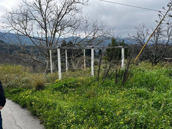 terreno agricolo in vendita a Messina in zona Centro Storico