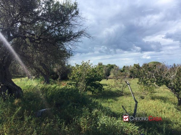 terreno agricolo in vendita a Messina in zona San Saba