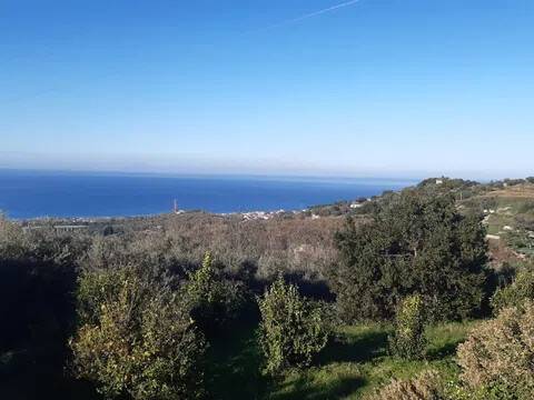 terreno agricolo in vendita a Messina in zona Gesso