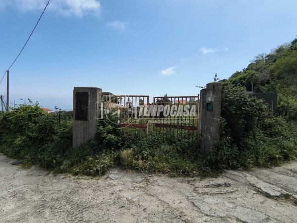 terreno agricolo in vendita a Messina in zona Larderia