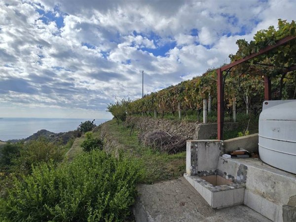 terreno agricolo in vendita a Messina in zona Santa Margherita
