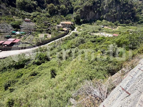terreno agricolo in vendita a Messina in zona Santa Margherita