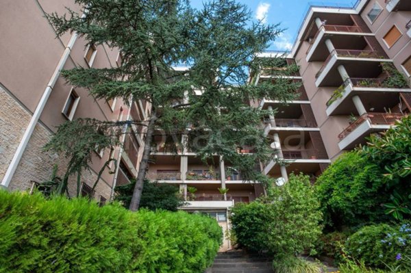 appartamento in vendita a Messina in zona Paradiso