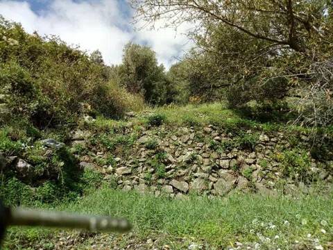 terreno agricolo in vendita a Messina in zona Santa Margherita