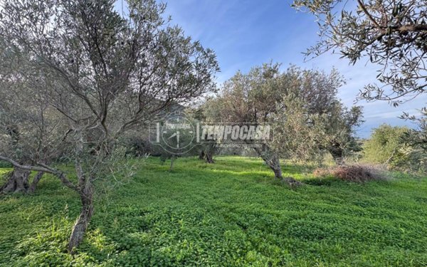 terreno agricolo in vendita a Messina in zona Rodia