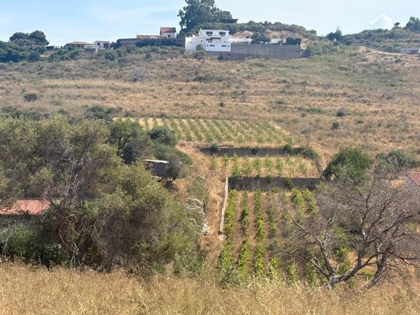 terreno agricolo in vendita a Messina in zona San Filippo