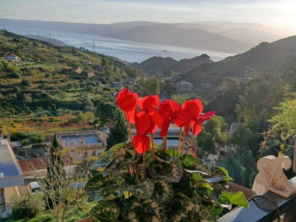 appartamento in vendita a Messina in zona Curcuraci