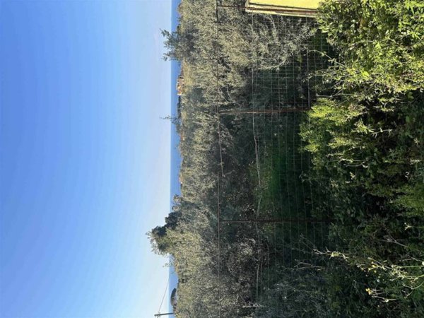 appartamento in vendita a Messina in zona Spartà