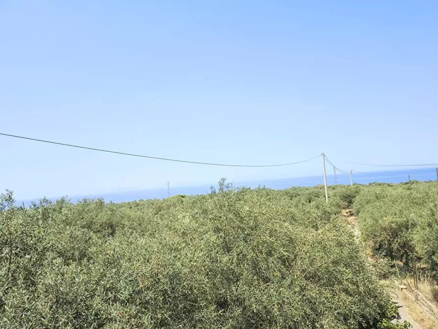 casa indipendente in vendita a Messina