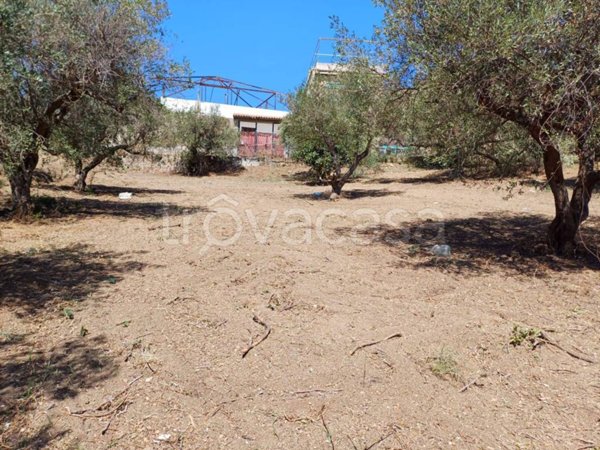 terreno agricolo in vendita a Messina in zona Ganzirri