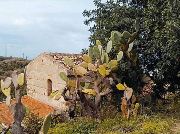 casale in vendita a Messina