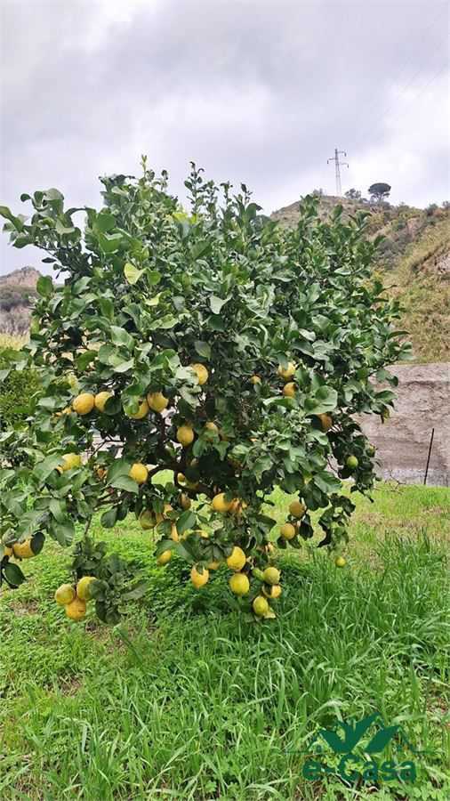terreno in vendita a Messina in zona Ponte Schiavo