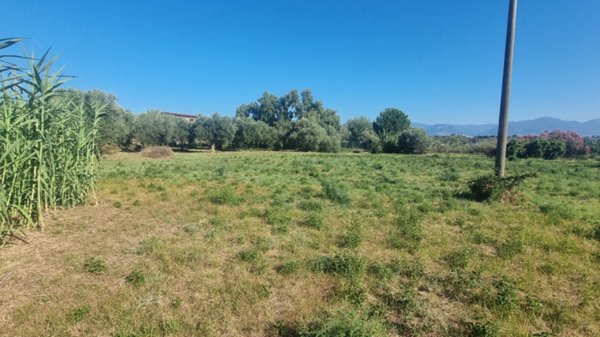 terreno agricolo in vendita a Milazzo