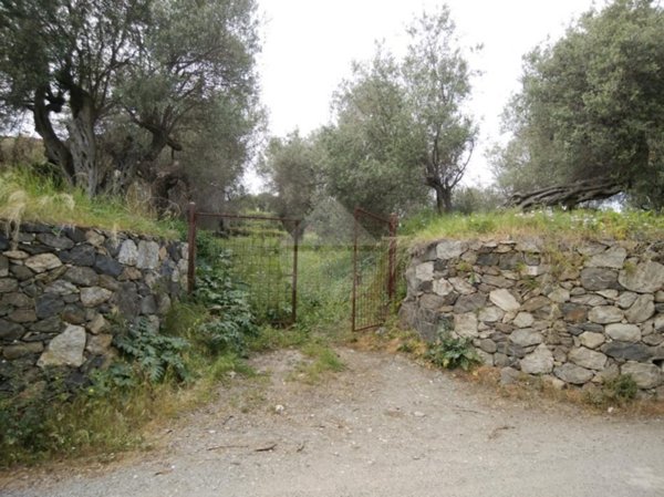 terreno agricolo in vendita a Milazzo in zona Capo Milazzo