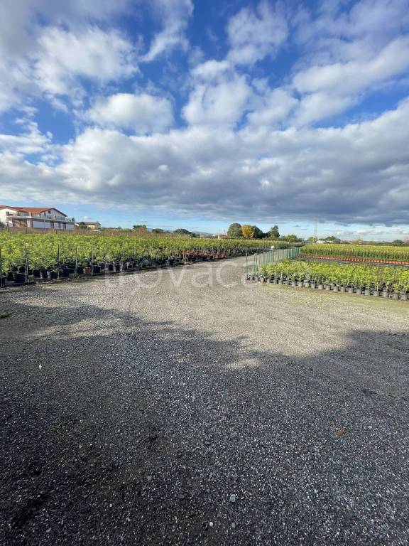 terreno agricolo in vendita a Milazzo