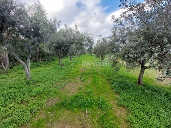 terreno agricolo in vendita a Milazzo