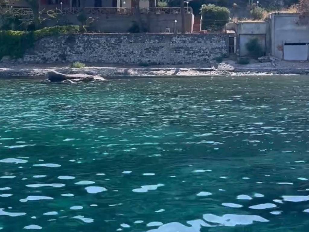 casa indipendente in vendita a Milazzo