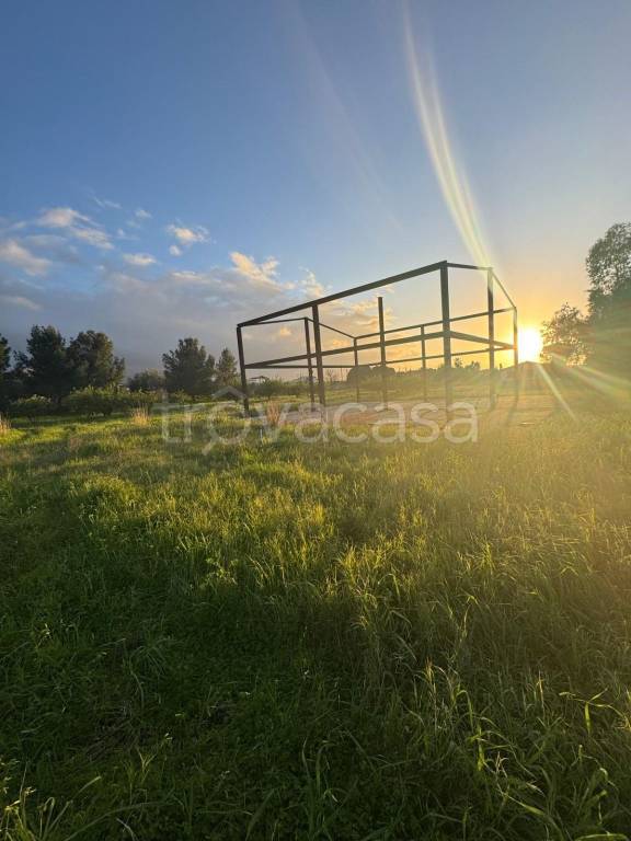 terreno agricolo in vendita a Milazzo in zona San Pietro