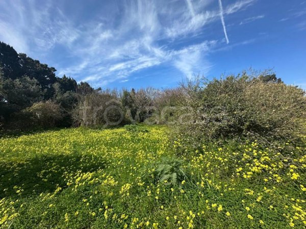 terreno agricolo in vendita a Milazzo