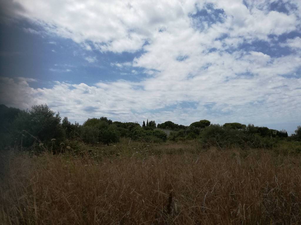 terreno agricolo in vendita a Milazzo in zona Capo Milazzo