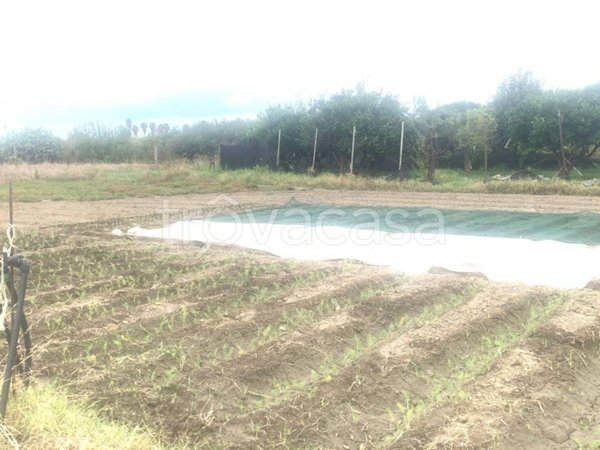 terreno agricolo in vendita a Milazzo in zona Bastione
