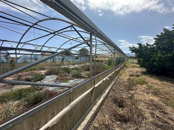 terreno agricolo in vendita a Milazzo in zona Santa Marina