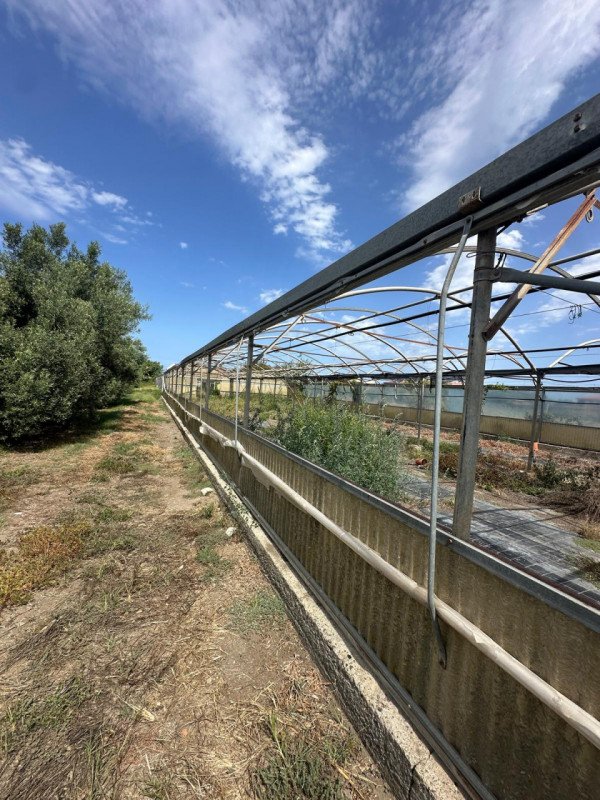 terreno agricolo in vendita a Milazzo in zona Santa Marina