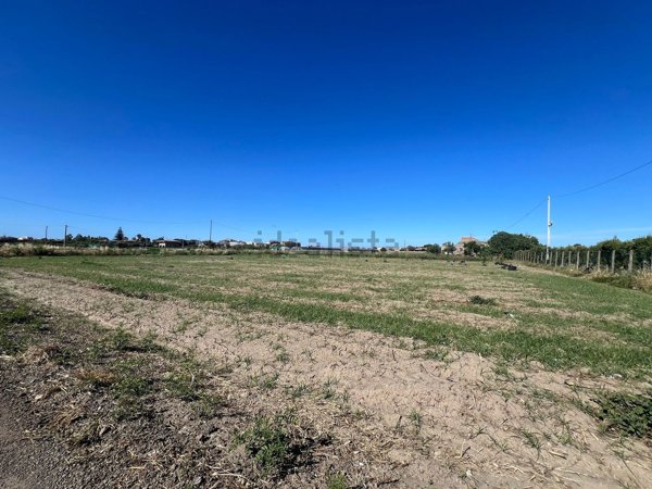terreno agricolo in vendita a Milazzo