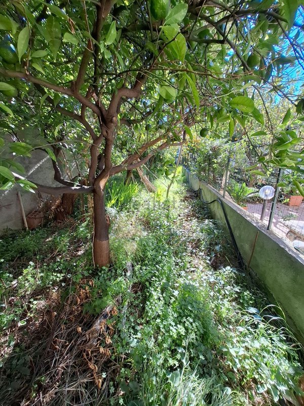 casa indipendente in vendita a Milazzo