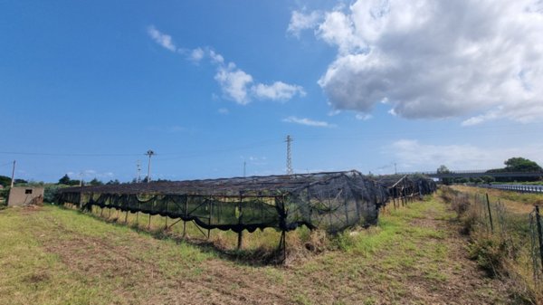 terreno agricolo in vendita a Milazzo