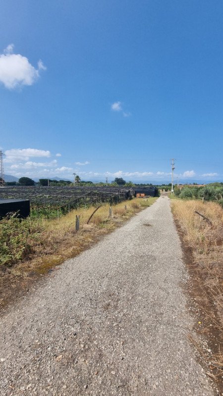 terreno agricolo in vendita a Milazzo