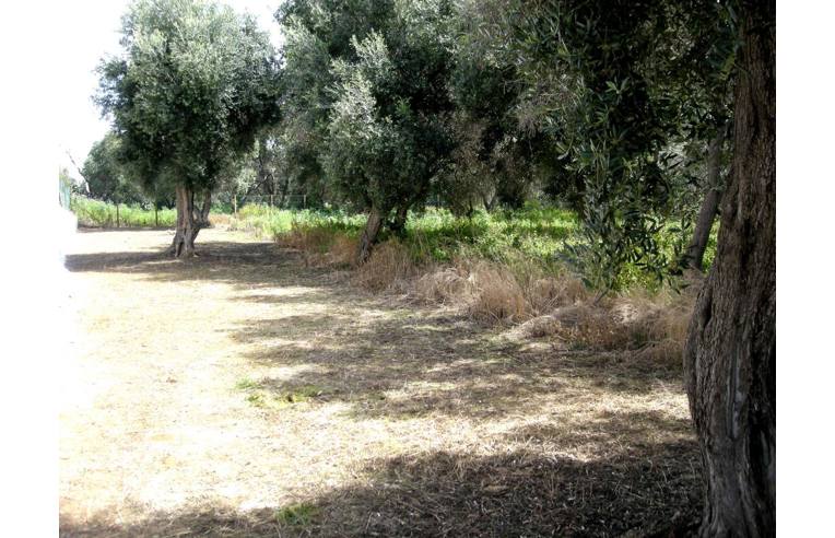 terreno agricolo in vendita a Milazzo in zona Capo Milazzo