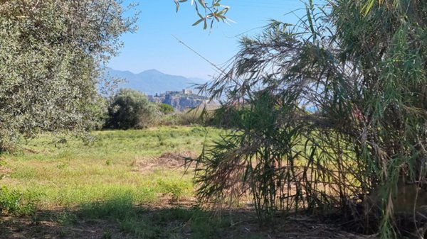 terreno agricolo in vendita a Milazzo