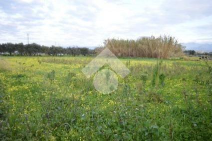 terreno agricolo in vendita a Milazzo in zona San Pietro
