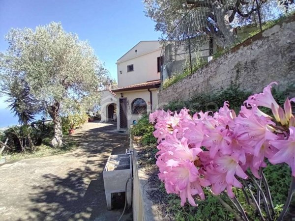 casa indipendente in vendita a Militello Rosmarino