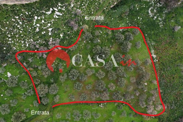 terreno agricolo in vendita a Militello Rosmarino in zona Scurzi
