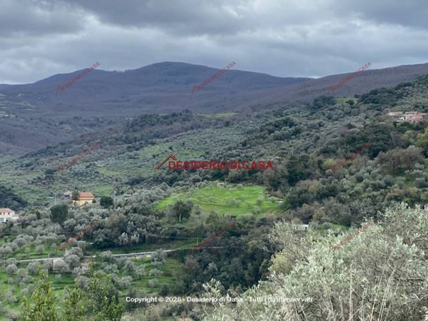terreno agricolo in vendita a Militello Rosmarino