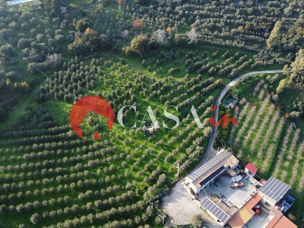 terreno agricolo in vendita a Mistretta