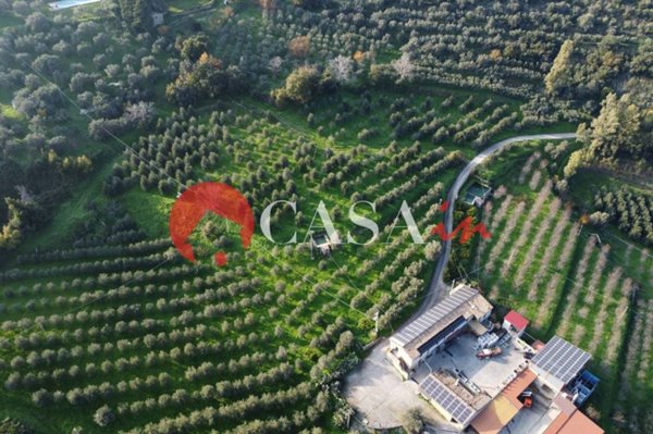 terreno agricolo in vendita a Mistretta