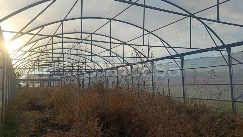 terreno agricolo in vendita a Monforte San Giorgio in zona Monforte Marina