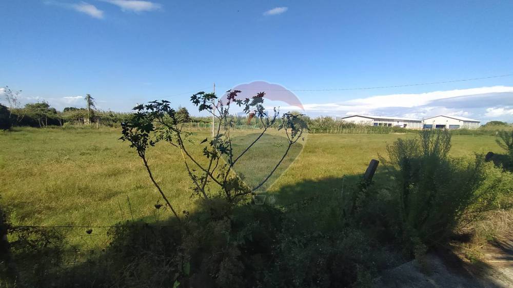 terreno agricolo in vendita a Monforte San Giorgio in zona Monforte Marina