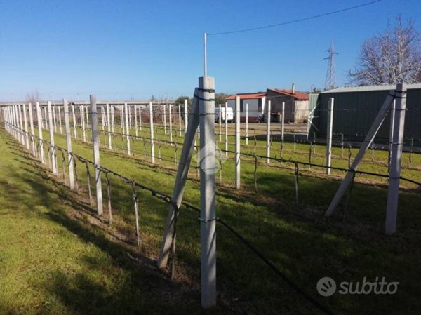 terreno agricolo in vendita a Monforte San Giorgio in zona Monforte Marina