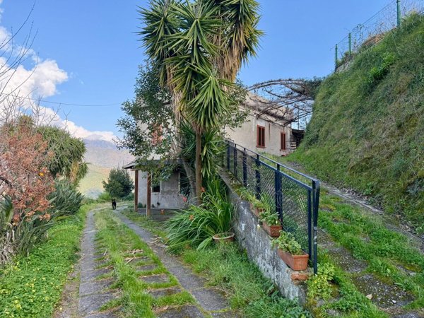 casa indipendente in vendita a Monforte San Giorgio