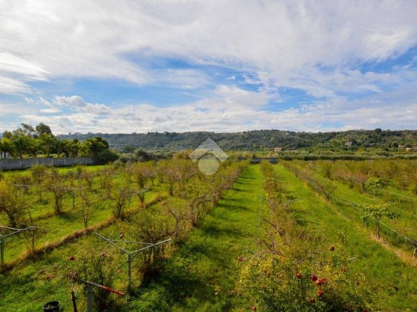 terreno agricolo in vendita a Monforte San Giorgio