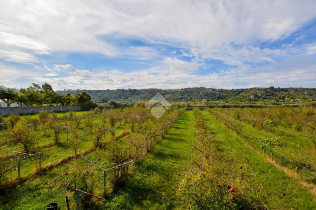 terreno agricolo in vendita a Monforte San Giorgio