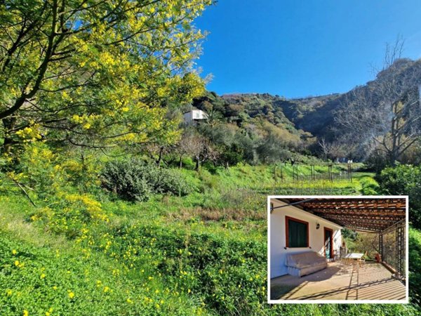 casa indipendente in vendita a Monforte San Giorgio